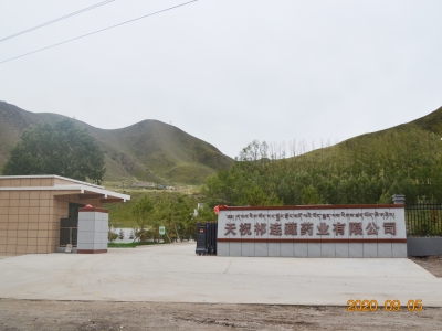 天祝祁(qi)連藏藥業